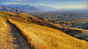 Name:  2017-10-26_17-23-41_HDR-01.jpg
Views: 297
Size:  19.3 KB