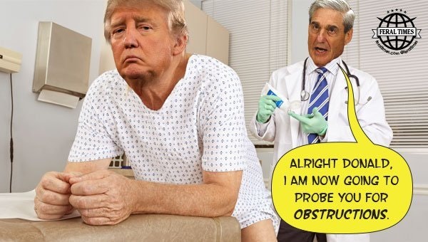 Name:  trump probe.jpg
Views: 512
Size:  63.4 KB