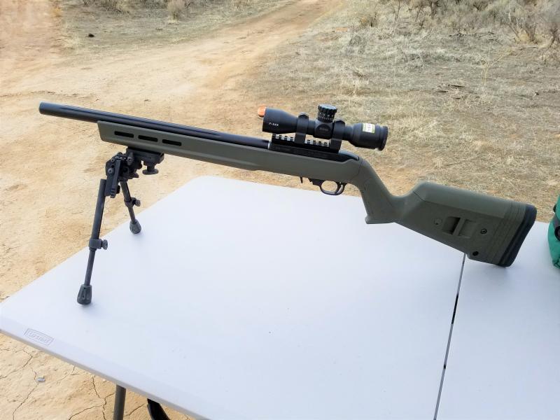 Name:  Ruger Build.jpg
Views: 998
Size:  59.1 KB