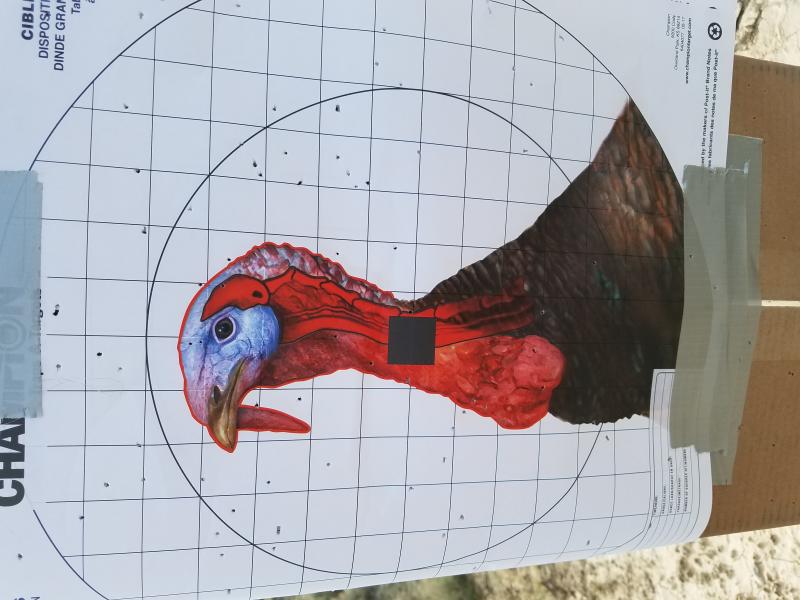 Name:  Turkey 1.jpg
Views: 1054
Size:  61.2 KB