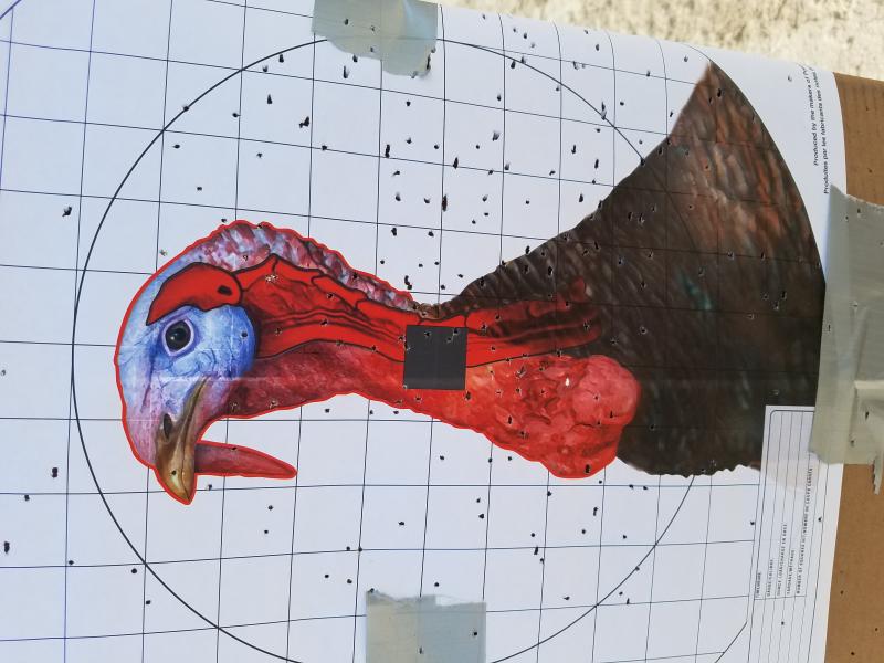 Name:  Turkey 2.jpg
Views: 1403
Size:  64.6 KB