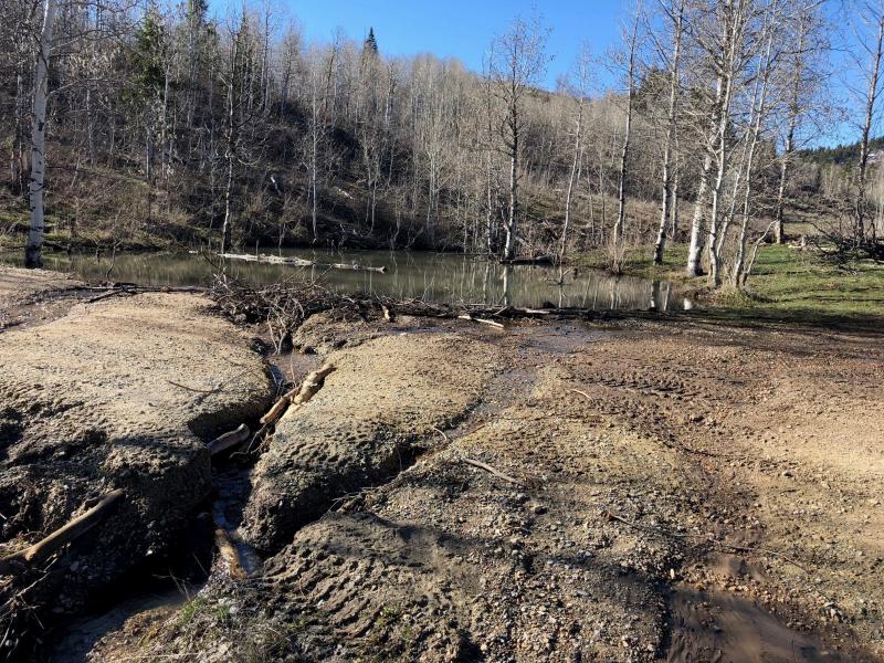 Name:  beaver pond 1.jpg
Views: 557
Size:  160.6 KB