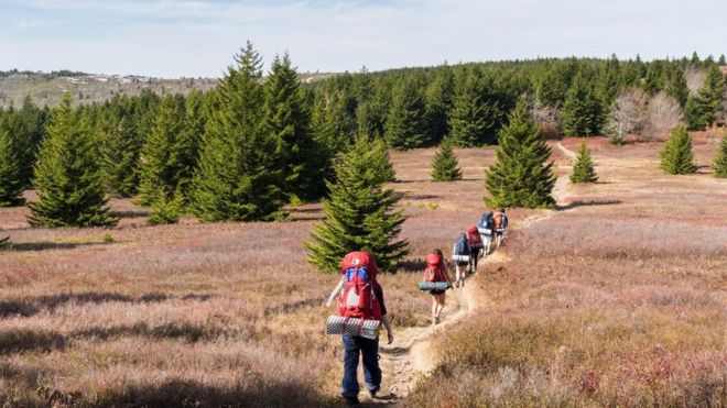 Name:  _101042016_dollysods-wv-fall2017.jpg
Views: 502
Size:  61.9 KB