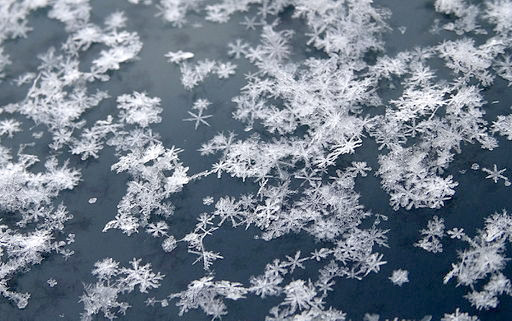 Name:  SnowflakesOnWindshield.jpg
Views: 634
Size:  101.8 KB