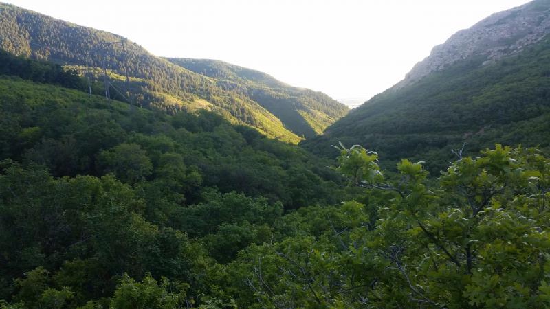 Name:  20180601_201234.jpg
Views: 323
Size:  56.3 KB