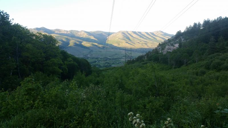 Name:  20180601_202300.jpg
Views: 335
Size:  47.9 KB
