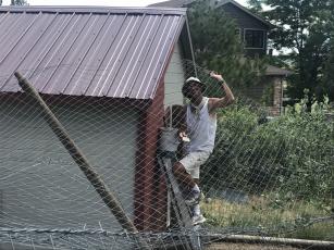 Name:  Painting chicken coop.jpg
Views: 619
Size:  20.3 KB