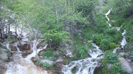 Name:  GRove Creek falls V.JPG
Views: 1810
Size:  44.6 KB