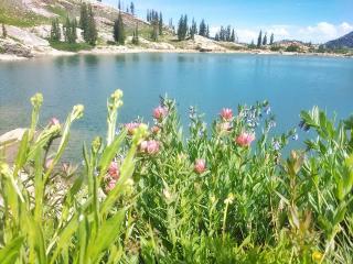 Name:  Cecret lake.jpg
Views: 182
Size:  21.7 KB