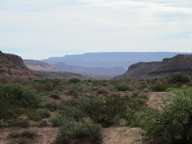 Name:  IMG_1552.JPG
Views: 287
Size:  76.8 KB