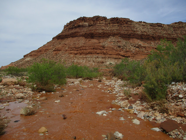 Name:  IMG_1588.JPG
Views: 270
Size:  119.7 KB