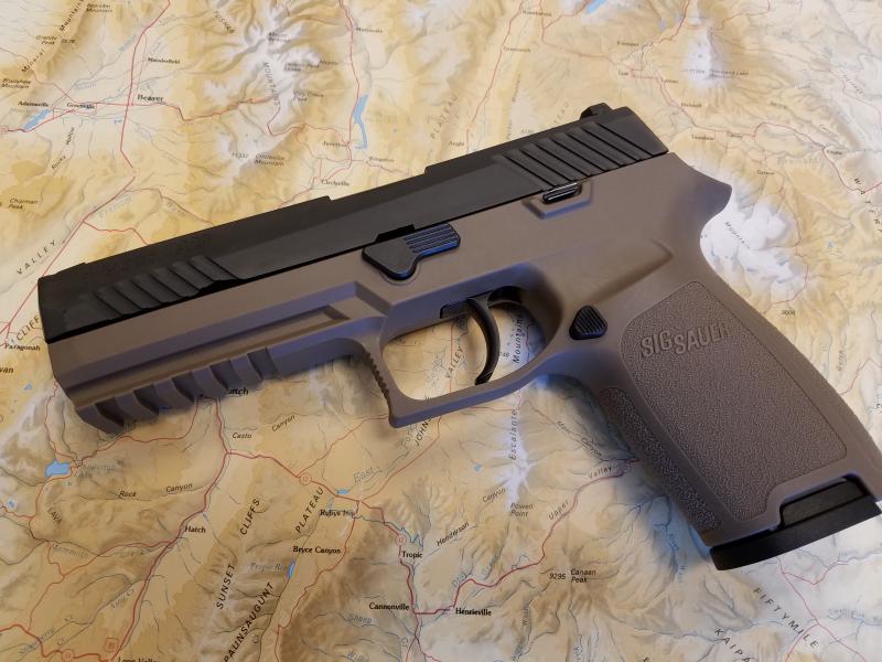 Name:  Sig FDE Grip.jpg
Views: 441
Size:  70.3 KB