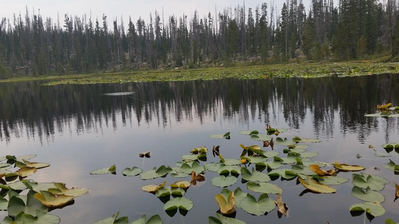 Name:  20180811_170716.jpg
Views: 308
Size:  65.4 KB