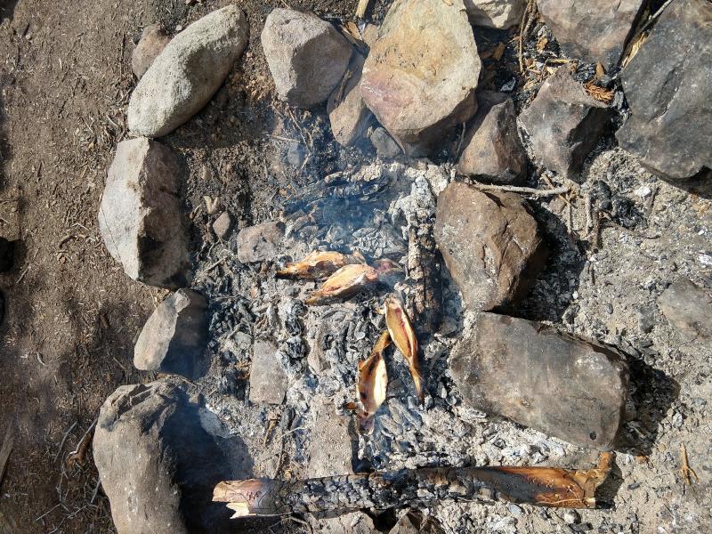 Name:  4. Best way to cook fish.jpg
Views: 223
Size:  158.4 KB