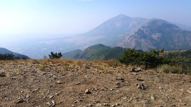 Name:  20180825_160913.jpg
Views: 332
Size:  70.2 KB
