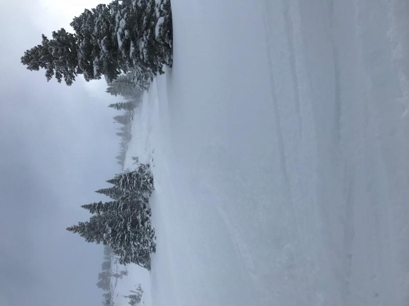 Name:  blower.jpg
Views: 750
Size:  32.6 KB