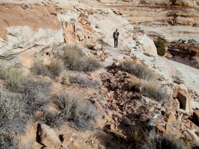 Name:  Andy Moore Trail.JPG
Views: 1938
Size:  212.6 KB