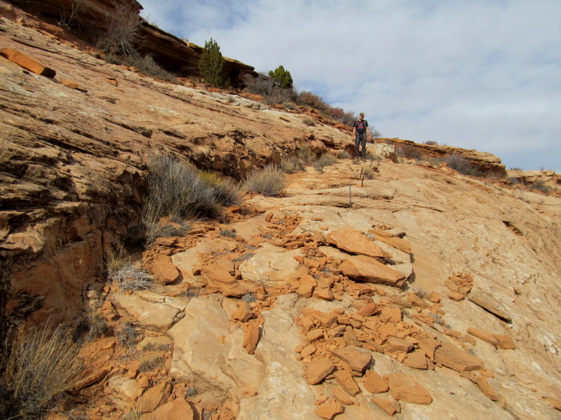 Name:  Sheep Trail Found by Mistake.JPG
Views: 1012
Size:  165.3 KB
