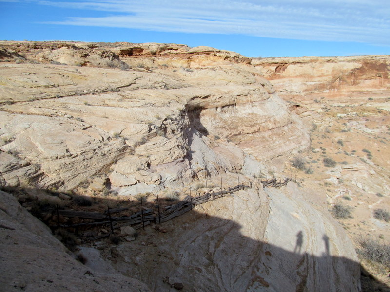 Name:  Chuchuru Sheep Trail.JPG
Views: 1002
Size:  152.7 KB