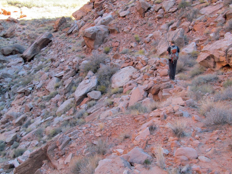 Name:  Lower Wolverton Canyon Trail.JPG
Views: 1317
Size:  185.7 KB