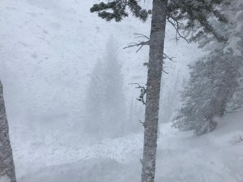 Name:  snow.jpg
Views: 1199
Size:  57.5 KB
