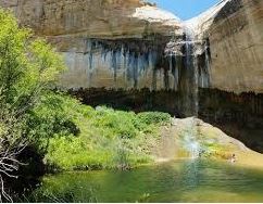Name:  Upper Calf Creek Falls.JPG
Views: 1315
Size:  21.9 KB