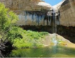 Name:  Upper Calf Creek Falls.JPG
Views: 720
Size:  21.9 KB