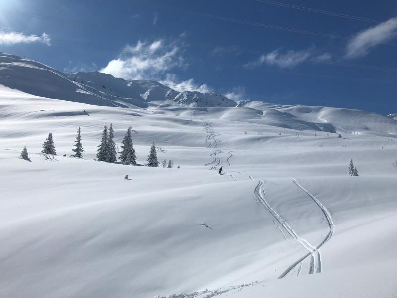 Name:  ski4.jpg
Views: 4701
Size:  40.7 KB