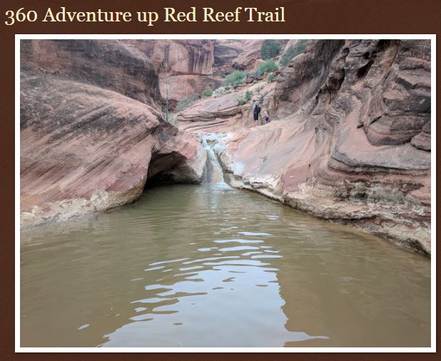 Name:  Red_Reef_Trail_Southern_Utah_Hurricane_ShaunasAdventures.JPG
Views: 2695
Size:  68.6 KB