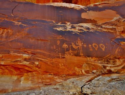 Name:  Wofman_Panel_Utah_Brown_Eyes.JPG
Views: 1242
Size:  37.0 KB