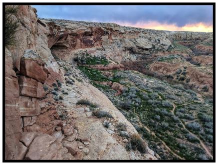 Name:  WolfMan_Petroglyph_Panel_2_ShaunasAdventures.JPG
Views: 1272
Size:  51.2 KB