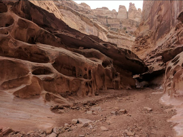 Name:  Crack_Canyon_Cool_Section_ShaunasAdventures2.JPG
Views: 1754
Size:  95.9 KB
