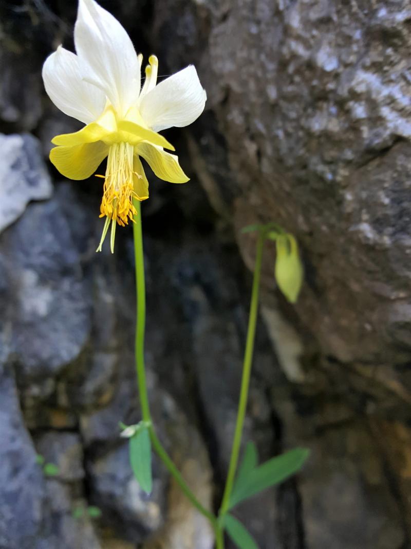 Name:  20190619_140239.jpg
Views: 937
Size:  70.4 KB