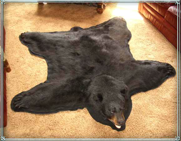 Name:  bear-fur-rug-bear-skin-rug.jpg
Views: 4147
Size:  42.4 KB