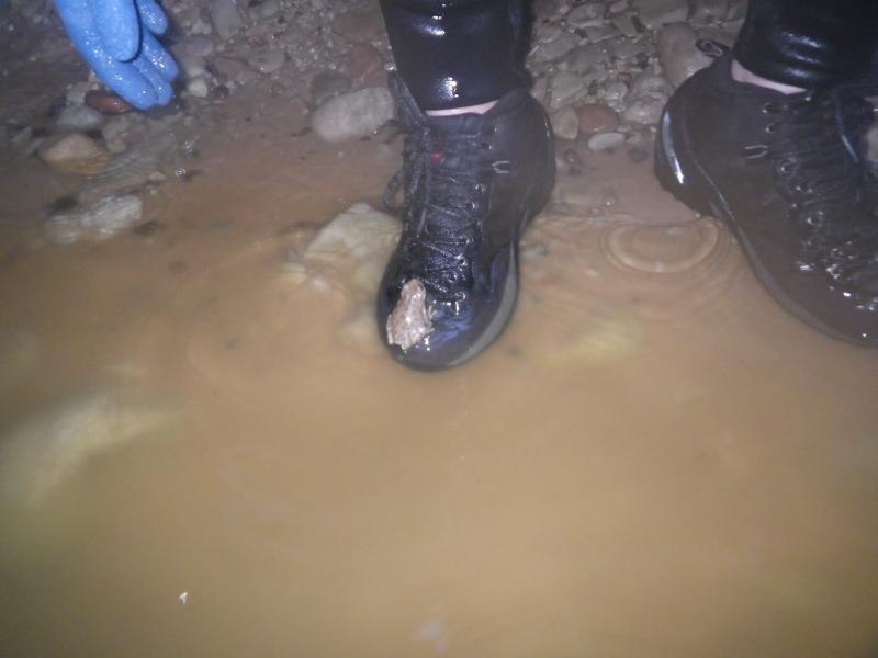 Name:  PineCreek00987.jpg
Views: 821
Size:  31.8 KB