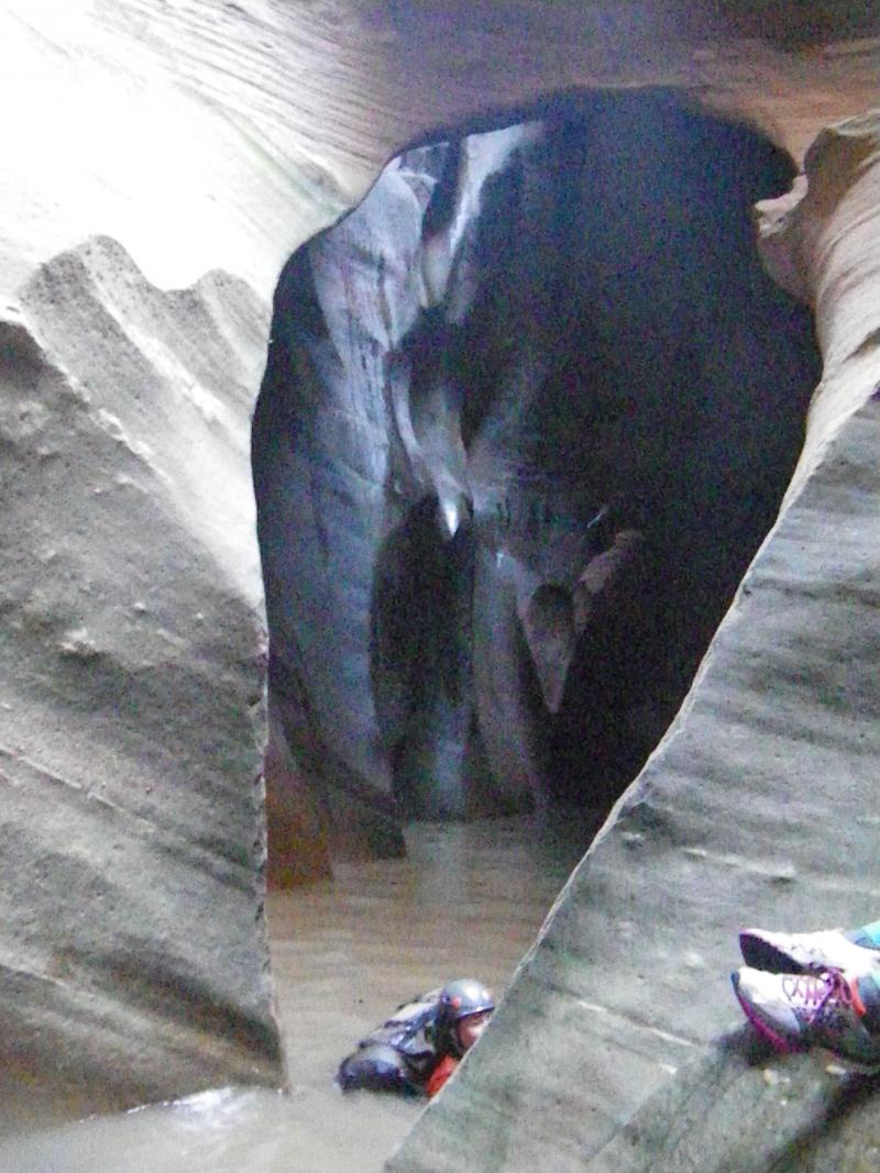 Name:  PineCreek02471.jpg
Views: 949
Size:  121.3 KB