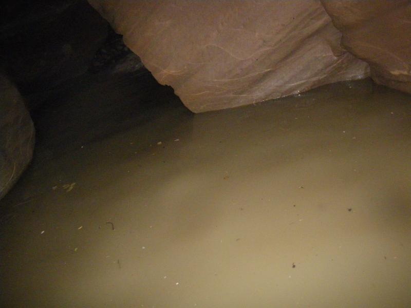 Name:  PineCreek02849.jpg
Views: 813
Size:  33.1 KB