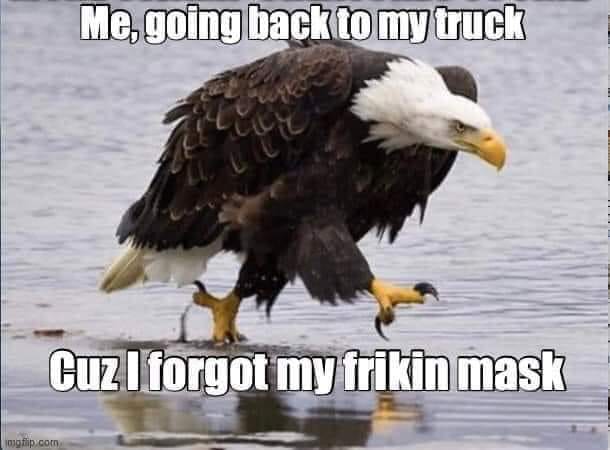 Name:  000eagle.jpg
Views: 539
Size:  31.4 KB