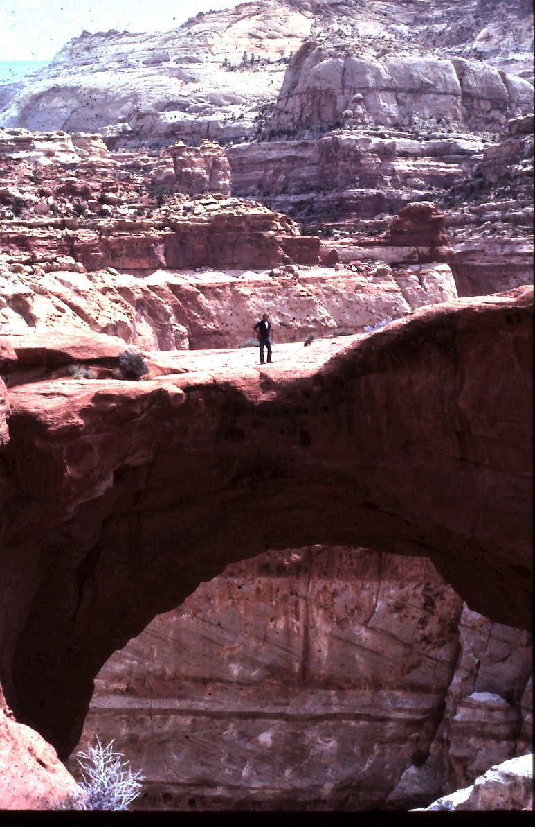 Name:  1981 cassidy arch.jpg
Views: 73
Size:  365.3 KB