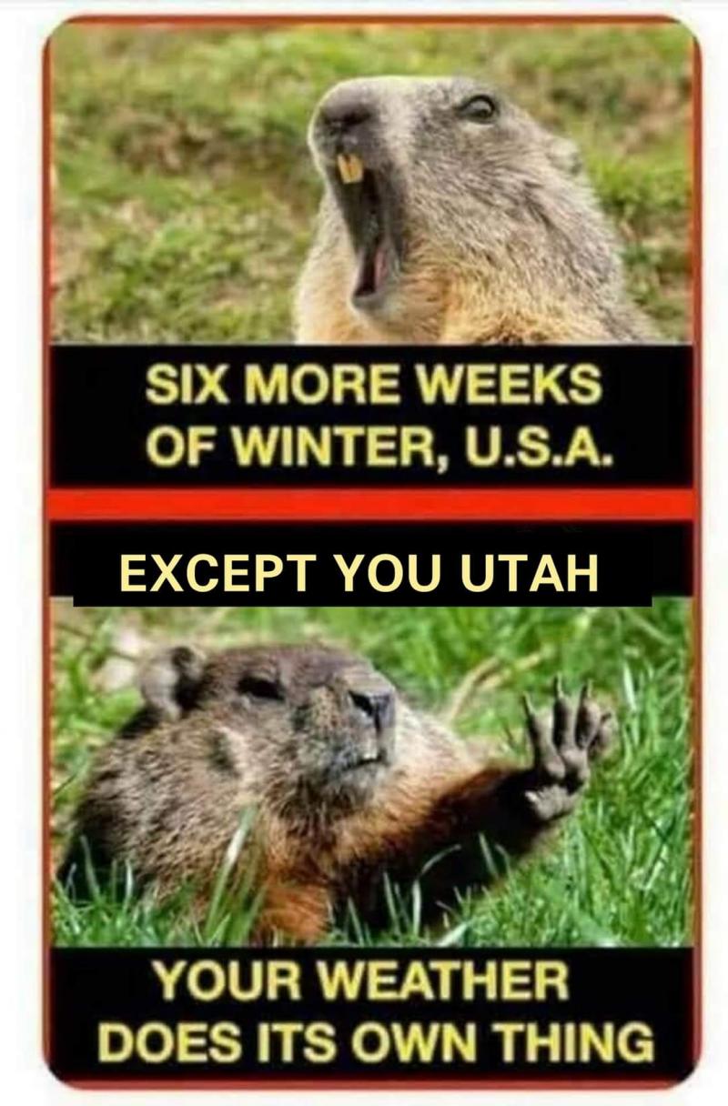 Name:  Utah weather.jpg
Views: 329
Size:  116.1 KB