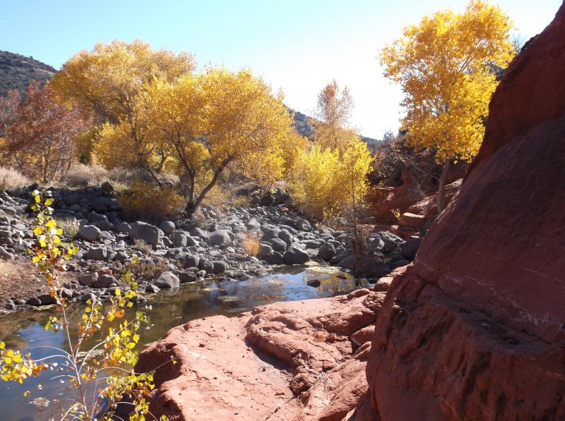 Name:  Montezuma's Castle 047.jpg
Views: 506
Size:  110.4 KB