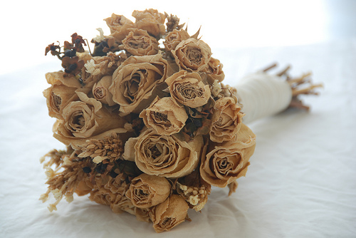 Name:  dried flowers..jpg
Views: 183
Size:  90.0 KB