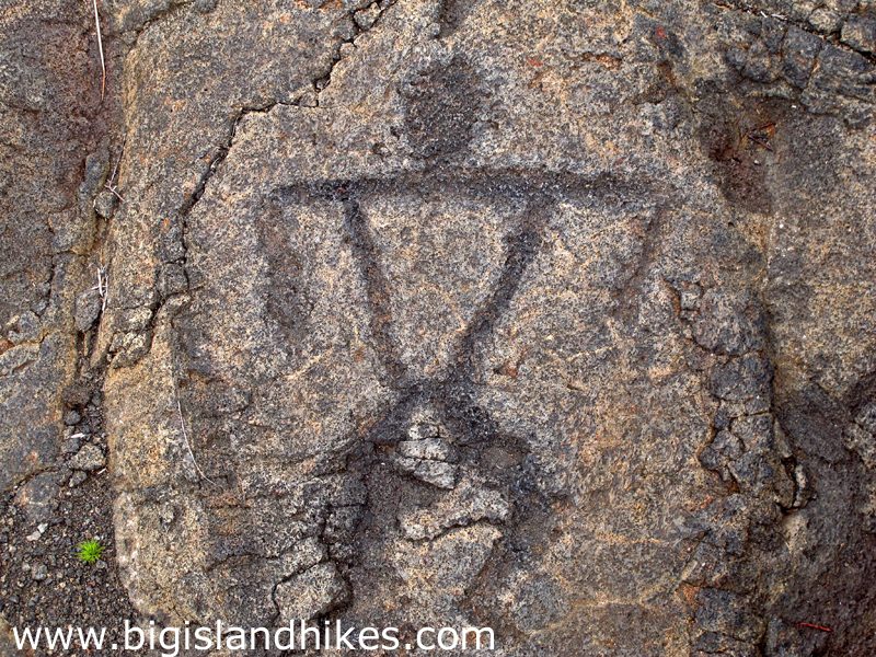 Name:  hawaii_volcanoes_national_park_puu_loa_petroglyphs_trail.jpg
Views: 1341
Size:  816.4 KB