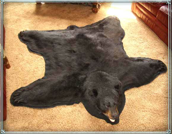 Name:  bear-fur-rug-bear-skin-rug.jpg
Views: 3913
Size:  42.4 KB