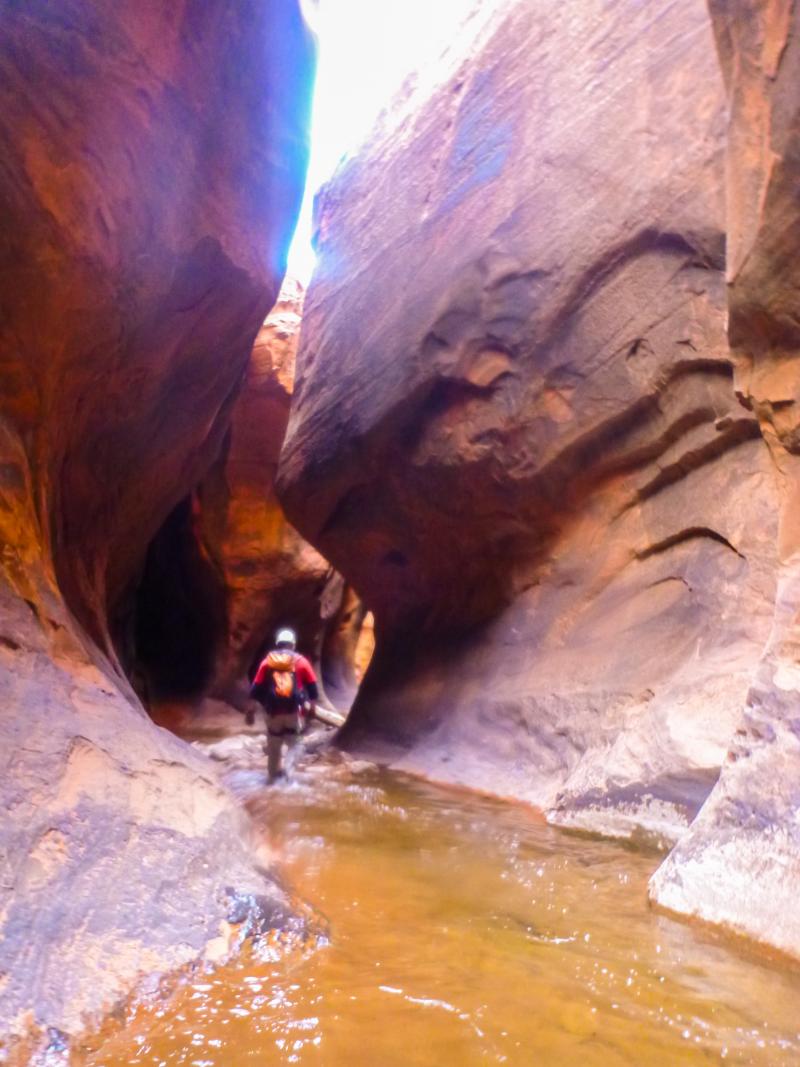 Name:  2013 04 04-06 Canyoneering Chop Rock 183.jpg
Views: 593
Size:  94.9 KB