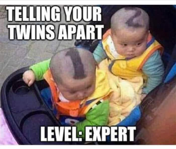 Name:  telling-your-twins-apart.jpg
Views: 303
Size:  48.2 KB