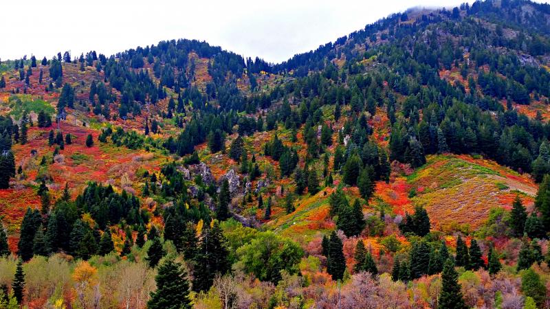 Name:  2014-09-21_14-40-50_HDR.jpg
Views: 242
Size:  100.2 KB