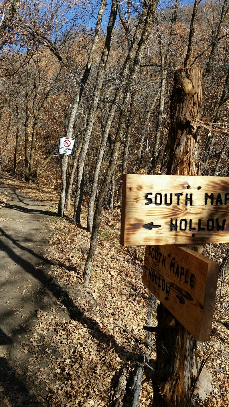 Name:  South Maple Hollow.jpg
Views: 141
Size:  393.3 KB