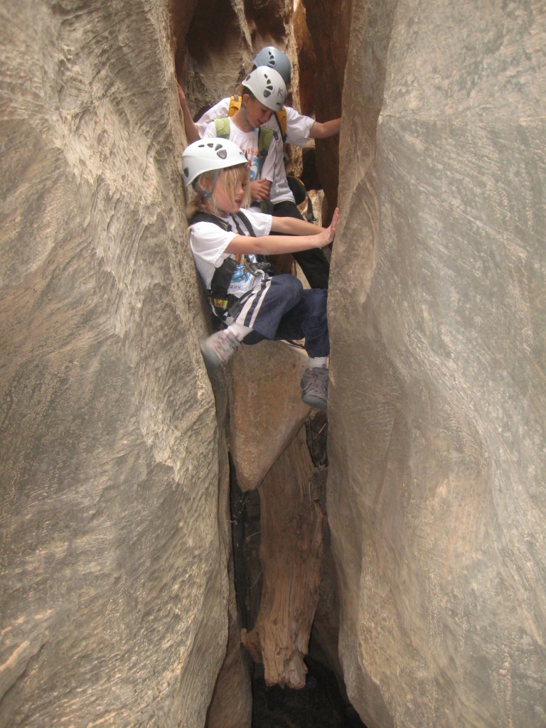 Name:  Capitol Reef 044.JPG
Views: 1082
Size:  261.6 KB