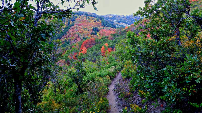 Name:  2014-09-17_18-28-20_HDR.jpg
Views: 259
Size:  127.8 KB